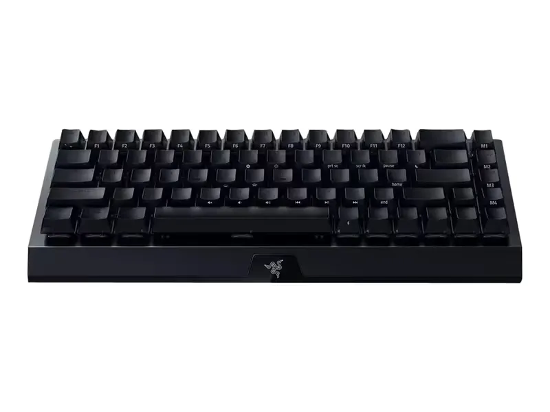 Razer BlackWidow V4 Mini