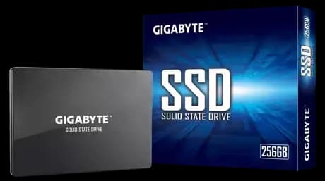 Gigabyte 256GB GP-GSTFS31256GTND diskas