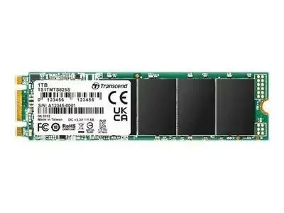 Transcend 1TB SATA3 B+M Key diskas