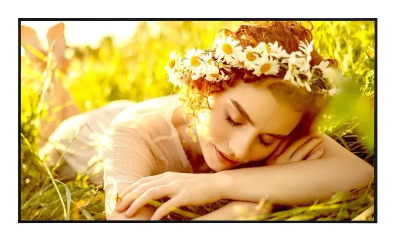 LG 55" 4K 60Hz (v4)