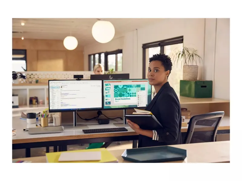 HP 24" FHD IPS 75Hz (v2)