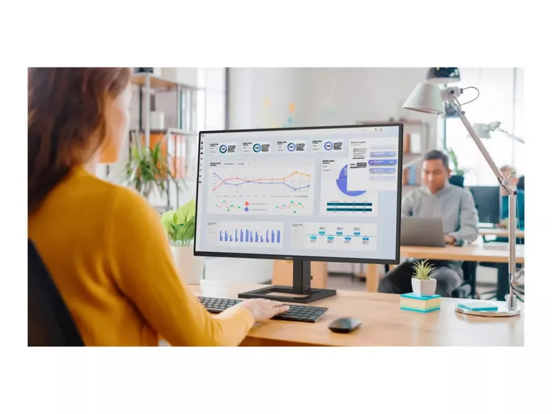 Philips 27" QHD IPS 100Hz (v2)