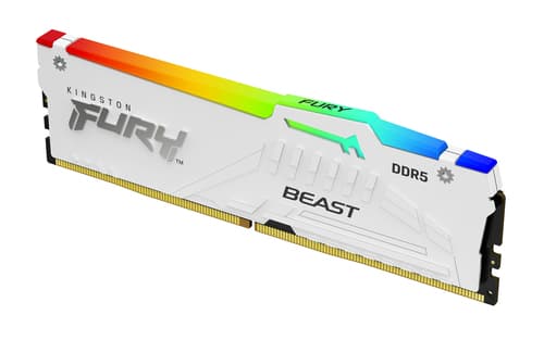 Kingston Technology FURY Beast RGB 1 x 16 GB 6000 MT/s 288-pin DIMM ECC
