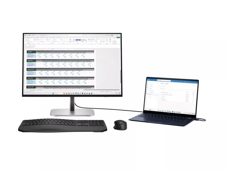 HP 24" FHD IPS 100Hz (v4)
